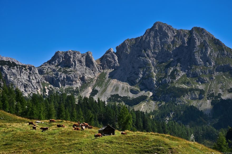 I Have Been Living In The Mountains For One Month