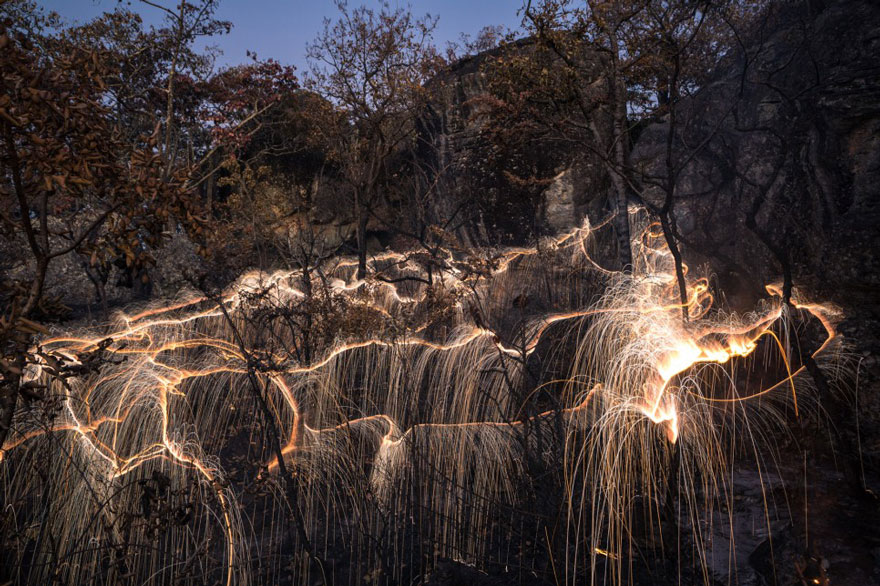 Light Drips From Trees In Long-Exposure Photos By Vitor Schietti Light Drips From Trees In Long-Exposure Photos By Vitor Schietti