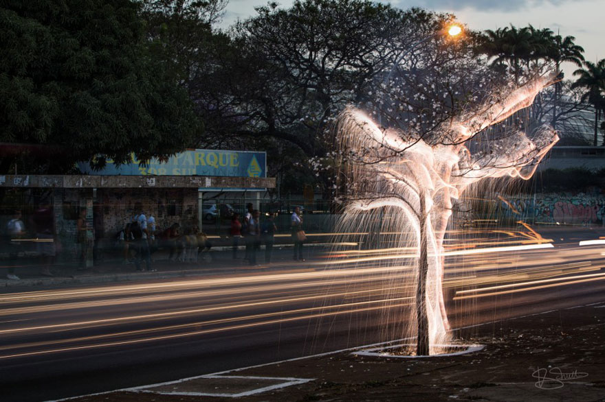 Light Drips From Trees In Long-Exposure Photos By Vitor Schietti Light Drips From Trees In Long-Exposure Photos By Vitor Schietti