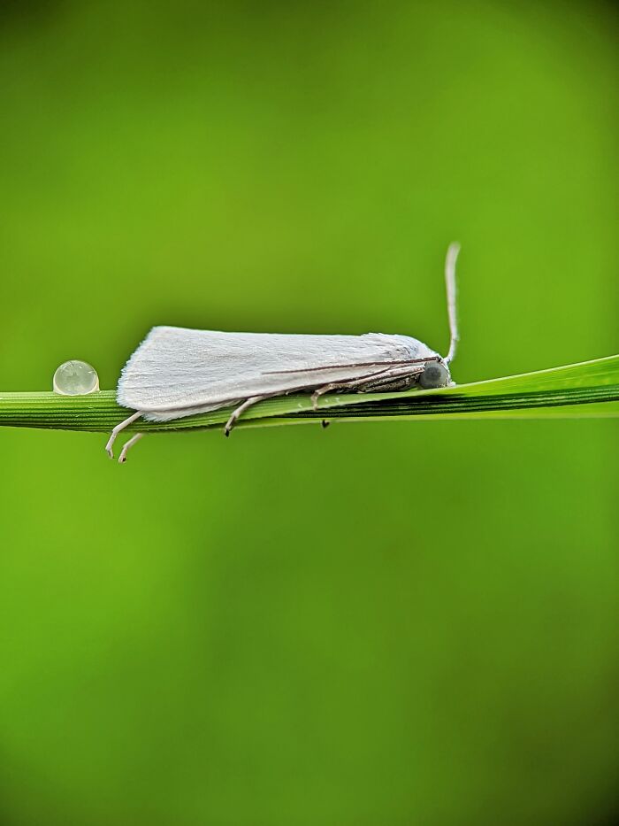 I’m A Photographer Who Captured 55 Macro Shots Of The Hidden World Of Insects
