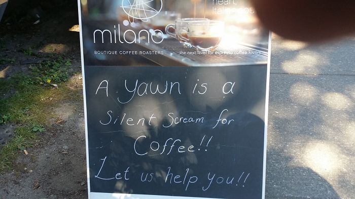 100 Of The Funniest Bar &#038; Cafe Chalkboard Signs Ever