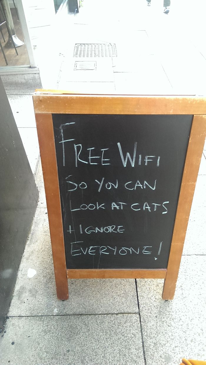 100 Of The Funniest Bar &#038; Cafe Chalkboard Signs Ever
