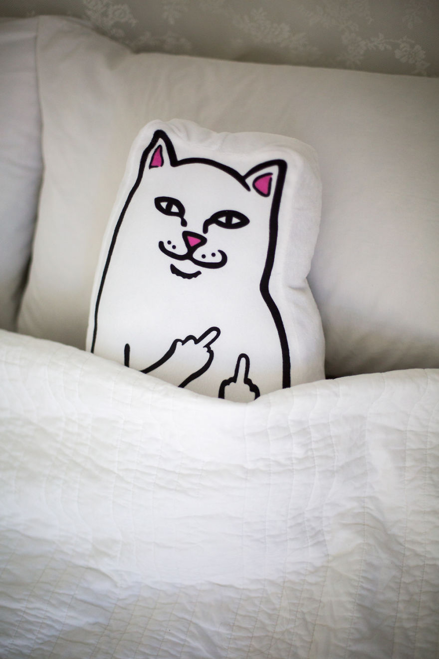 Rip N Dip Cat Pillow Will Make Sure You Never Sleep Alone Again Rip N Dip Cat Pillow Will Make Sure You Never Sleep Alone Again