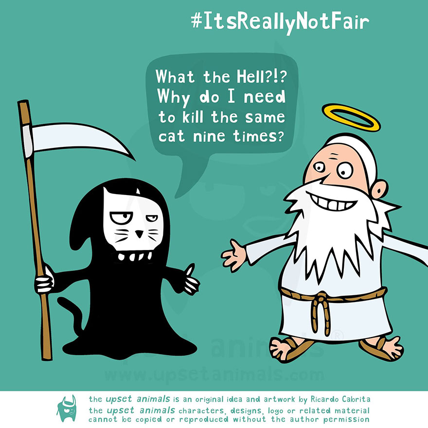 16 Upset Animals And Their Problems 16 Upset Animals And Their Problems