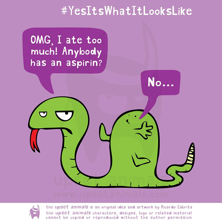 16 Upset Animals And Their Problems 16 Upset Animals And Their Problems