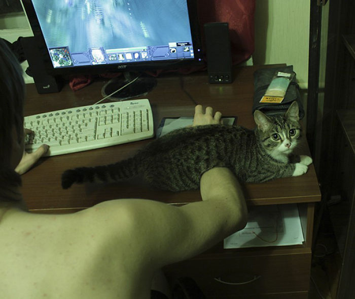 187 Cats That Don’t Care About Your Personal Space 187 Cats That Don’t Care About Your Personal Space