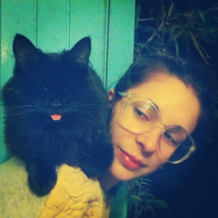 187 Cats That Don’t Care About Your Personal Space 187 Cats That Don’t Care About Your Personal Space