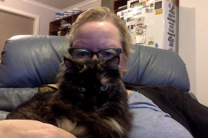 187 Cats That Don’t Care About Your Personal Space 187 Cats That Don’t Care About Your Personal Space