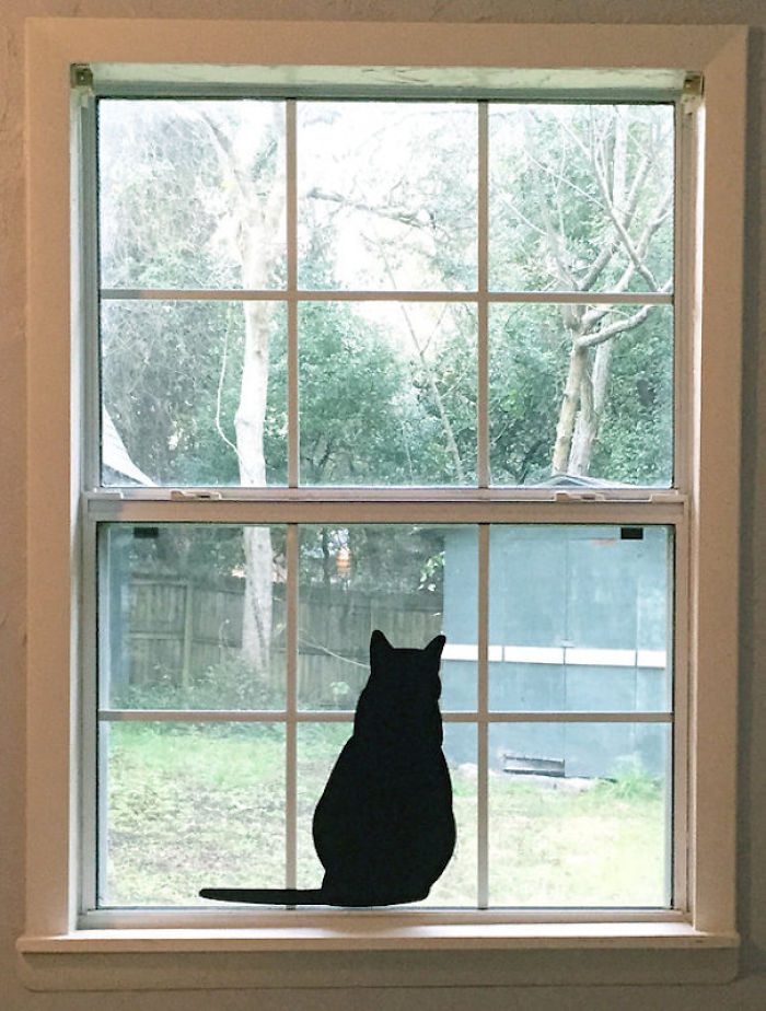 70 Creative Stickers That Make Your Wall Look Magical 70 Creative Stickers That Make Your Wall Look Magical