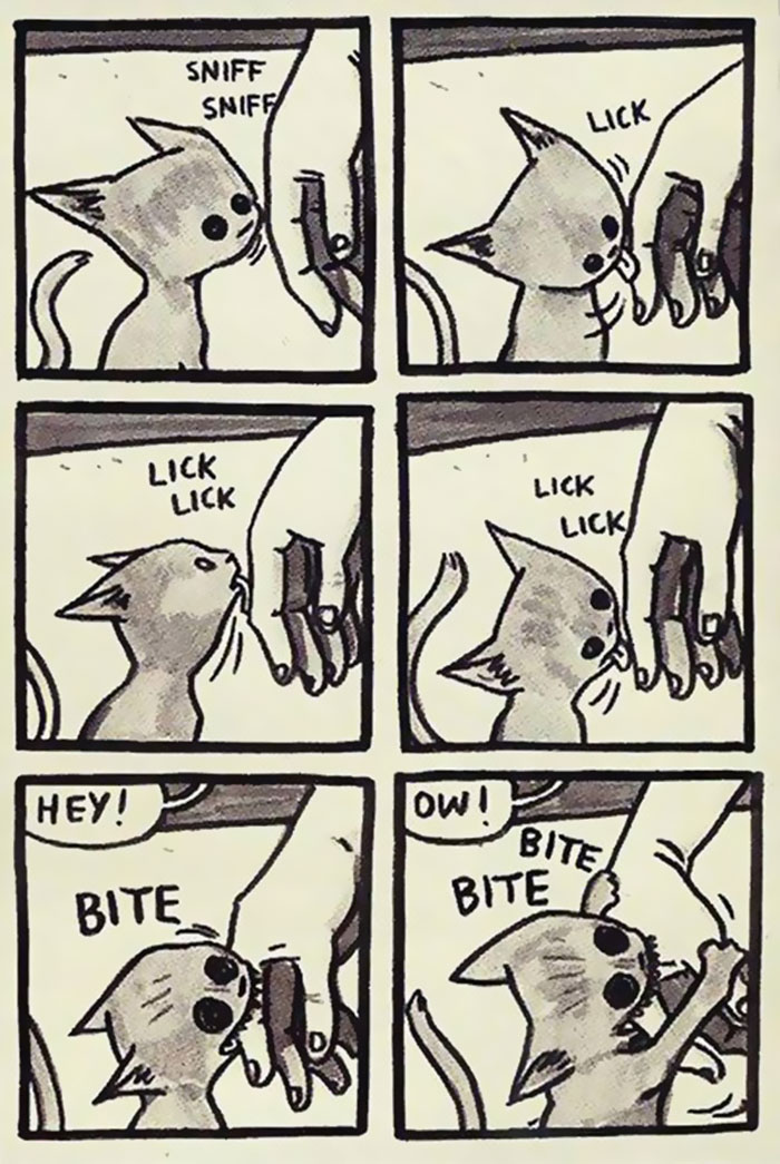 58 Funny Comics Reveal The Reality Of Owning A Cat 58 Funny Comics Reveal The Reality Of Owning A Cat