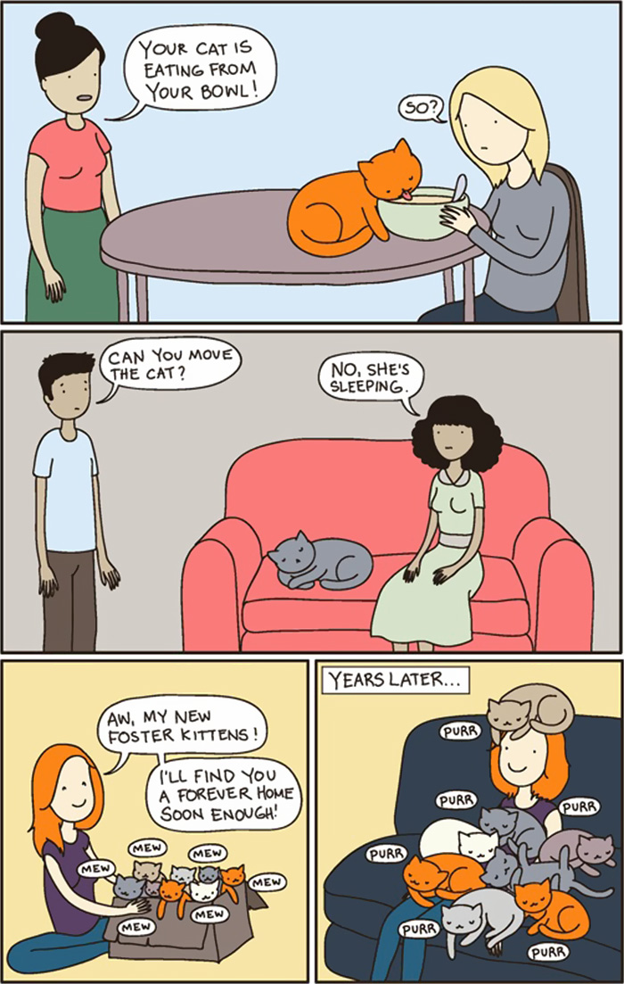 58 Funny Comics Reveal The Reality Of Owning A Cat 58 Funny Comics Reveal The Reality Of Owning A Cat