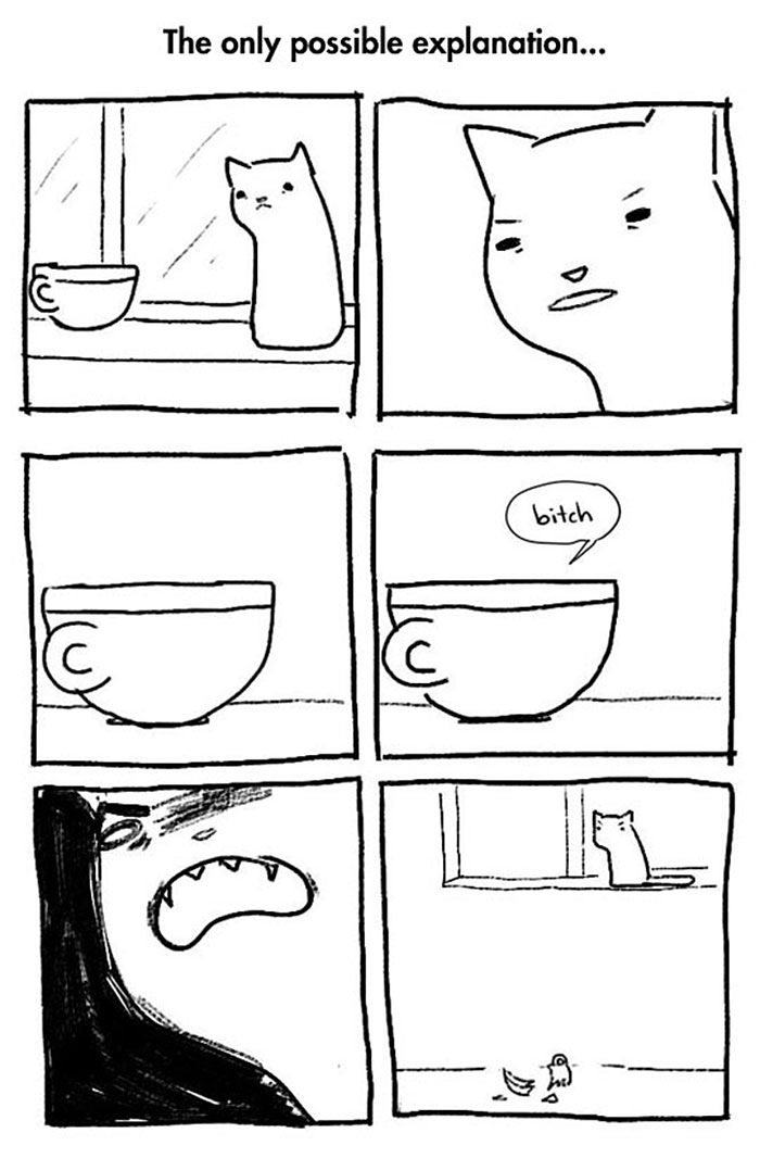 58 Funny Comics Reveal The Reality Of Owning A Cat 58 Funny Comics Reveal The Reality Of Owning A Cat