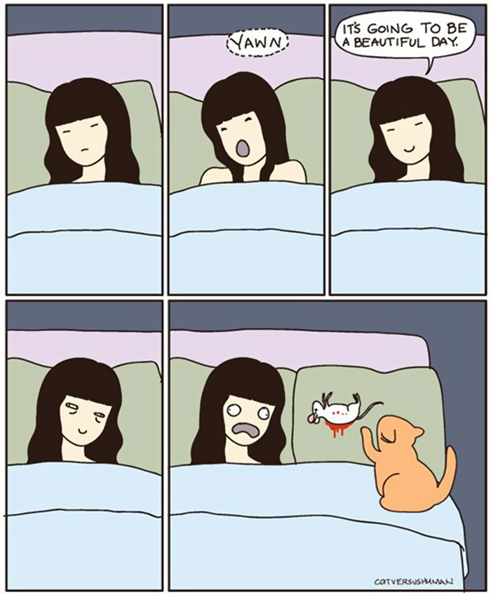 58 Funny Comics Reveal The Reality Of Owning A Cat 58 Funny Comics Reveal The Reality Of Owning A Cat