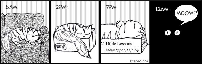 58 Funny Comics Reveal The Reality Of Owning A Cat 58 Funny Comics Reveal The Reality Of Owning A Cat