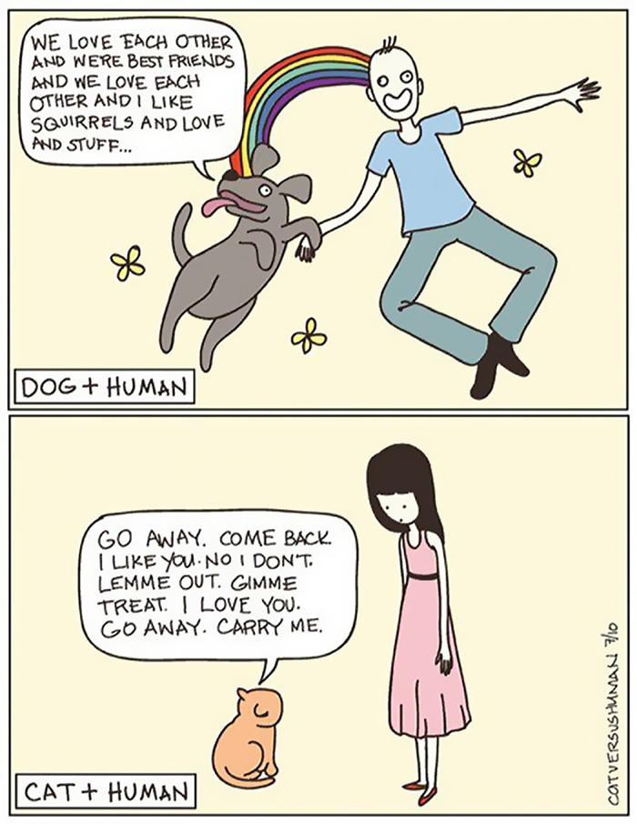 58 Funny Comics Reveal The Reality Of Owning A Cat 58 Funny Comics Reveal The Reality Of Owning A Cat