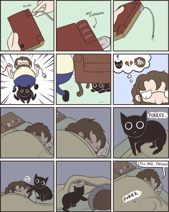 58 Funny Comics Reveal The Reality Of Owning A Cat 58 Funny Comics Reveal The Reality Of Owning A Cat