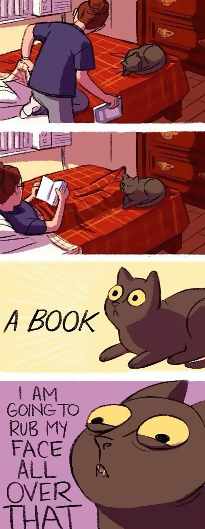 58 Funny Comics Reveal The Reality Of Owning A Cat 58 Funny Comics Reveal The Reality Of Owning A Cat