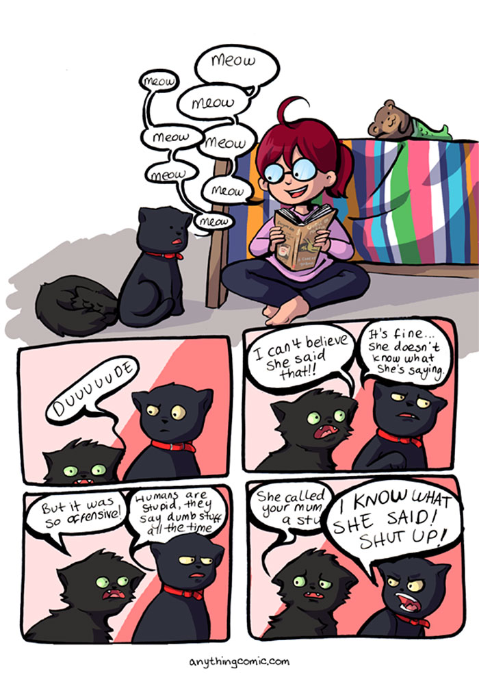 58 Funny Comics Reveal The Reality Of Owning A Cat 58 Funny Comics Reveal The Reality Of Owning A Cat