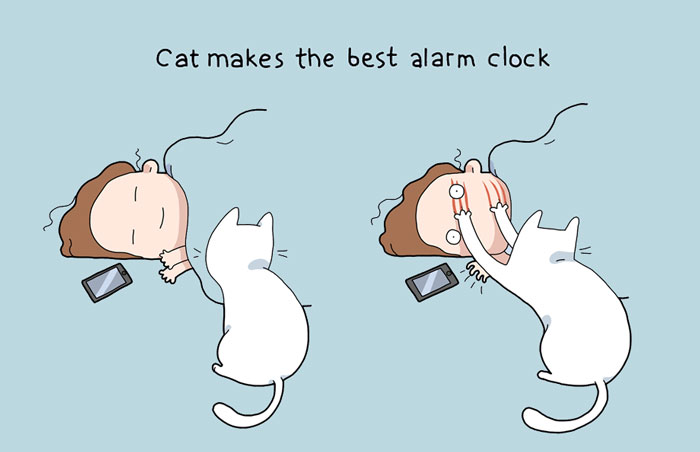 58 Funny Comics Reveal The Reality Of Owning A Cat 58 Funny Comics Reveal The Reality Of Owning A Cat