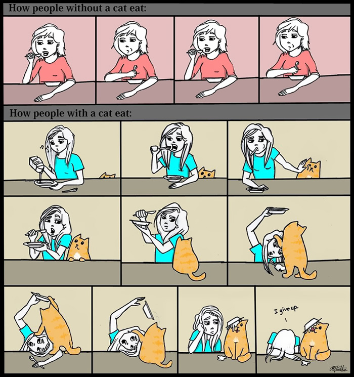 58 Funny Comics Reveal The Reality Of Owning A Cat 58 Funny Comics Reveal The Reality Of Owning A Cat