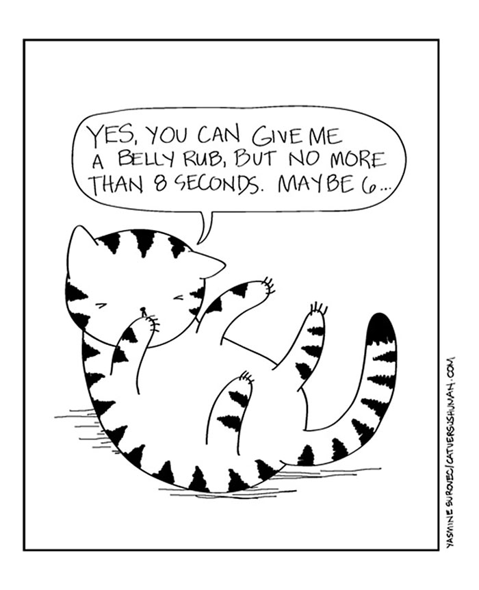 58 Funny Comics Reveal The Reality Of Owning A Cat 58 Funny Comics Reveal The Reality Of Owning A Cat