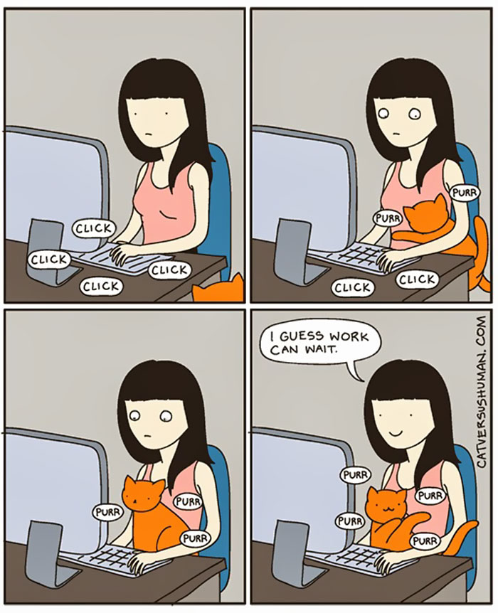 58 Funny Comics Reveal The Reality Of Owning A Cat 58 Funny Comics Reveal The Reality Of Owning A Cat