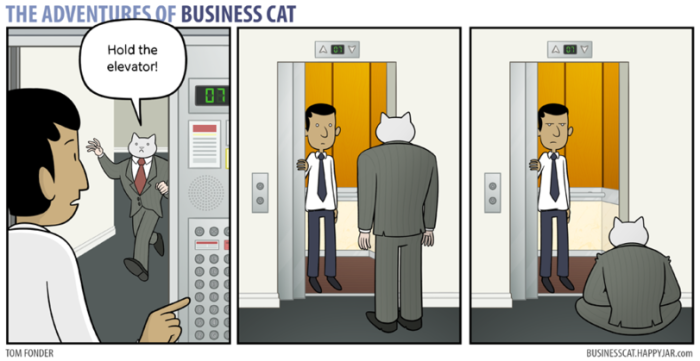 58 Funny Comics Reveal The Reality Of Owning A Cat 58 Funny Comics Reveal The Reality Of Owning A Cat