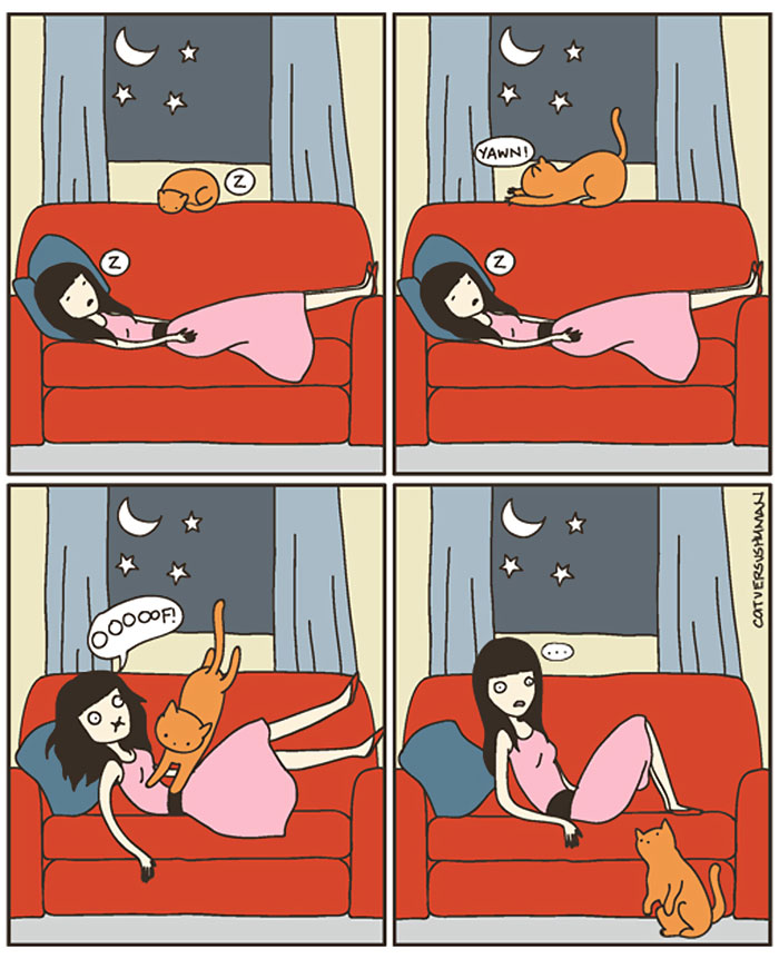 58 Funny Comics Reveal The Reality Of Owning A Cat 58 Funny Comics Reveal The Reality Of Owning A Cat