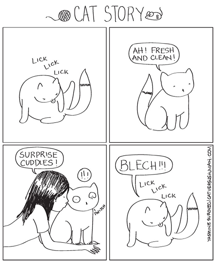 58 Funny Comics Reveal The Reality Of Owning A Cat 58 Funny Comics Reveal The Reality Of Owning A Cat