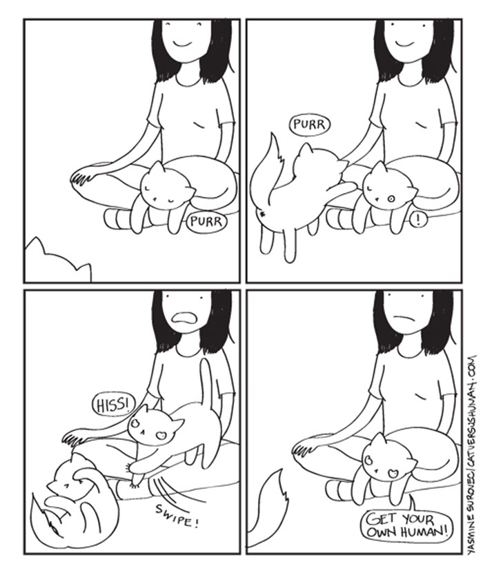 58 Funny Comics Reveal The Reality Of Owning A Cat 58 Funny Comics Reveal The Reality Of Owning A Cat