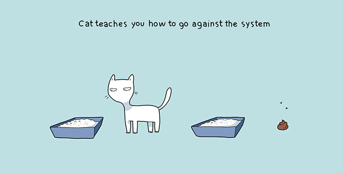 58 Funny Comics Reveal The Reality Of Owning A Cat 58 Funny Comics Reveal The Reality Of Owning A Cat