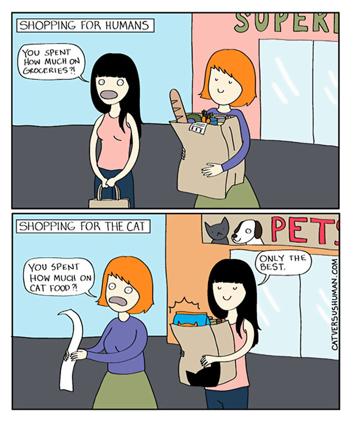 58 Funny Comics Reveal The Reality Of Owning A Cat 58 Funny Comics Reveal The Reality Of Owning A Cat
