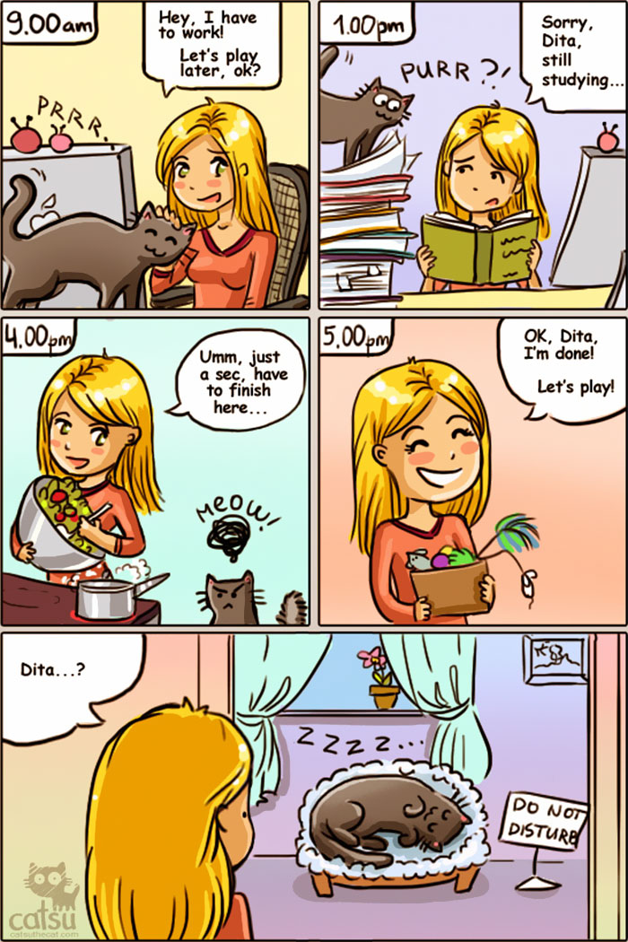 58 Funny Comics Reveal The Reality Of Owning A Cat 58 Funny Comics Reveal The Reality Of Owning A Cat