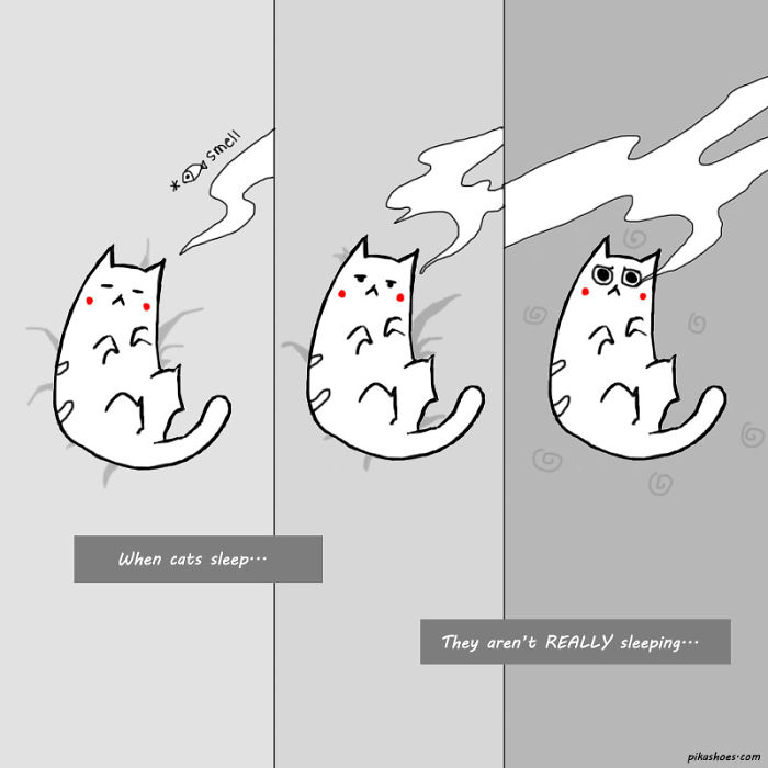 58 Funny Comics Reveal The Reality Of Owning A Cat 58 Funny Comics Reveal The Reality Of Owning A Cat