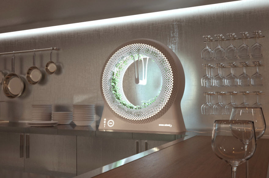 Our NASA-Inspired Green Wheel Lets You Grow Herbs And Salad Indoors