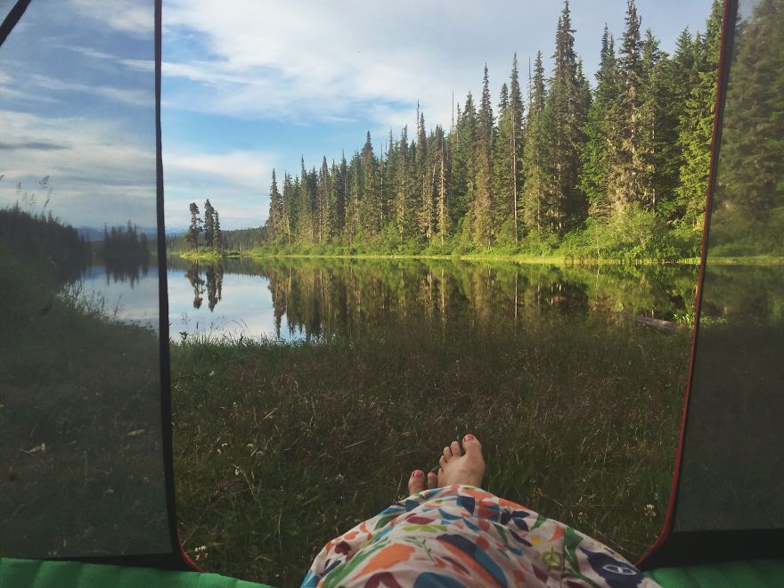 I Motorbiked 6,000 Miles To Alaska With My Dog And We’re Still Going I Motorbiked 6,000 Miles To Alaska With My Dog And We’re Still Going