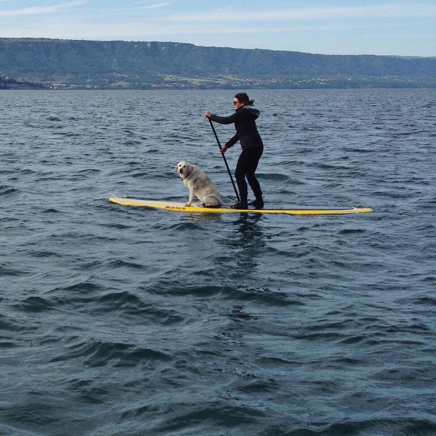 I Motorbiked 6,000 Miles To Alaska With My Dog And We’re Still Going I Motorbiked 6,000 Miles To Alaska With My Dog And We’re Still Going