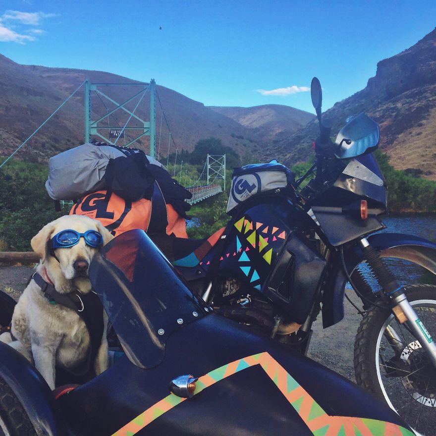 I Motorbiked 6,000 Miles To Alaska With My Dog And We’re Still Going I Motorbiked 6,000 Miles To Alaska With My Dog And We’re Still Going