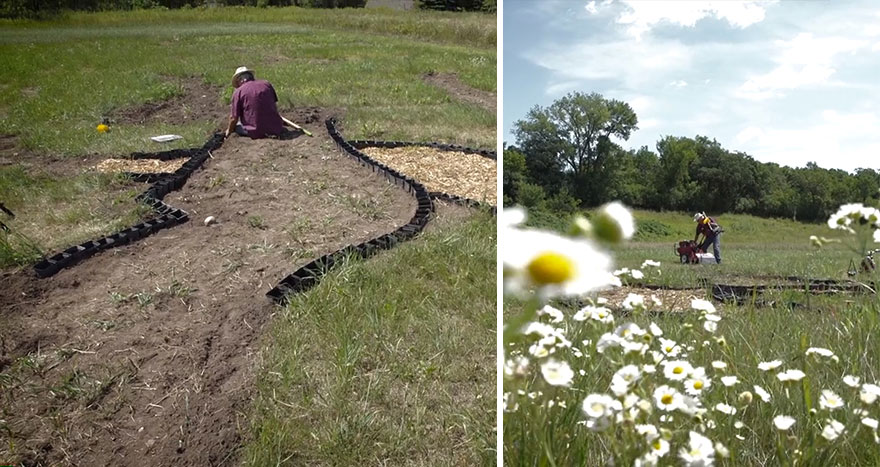Artist Plants 1.2-Acre Field To Recreate Van Gogh’s 1889 Painting ‘Olive Trees’ Artist Plants 1.2-Acre Field To Recreate Van Gogh’s 1889 Painting ‘Olive Trees’