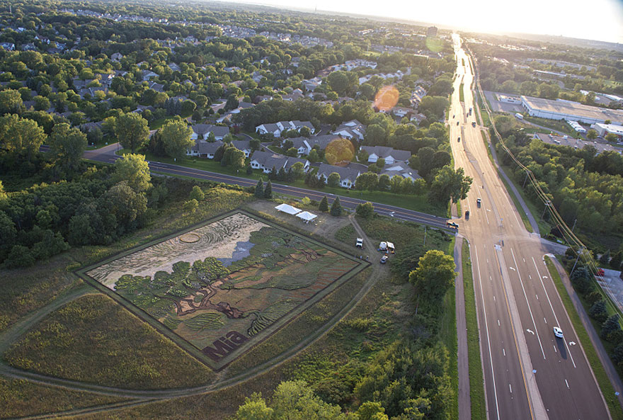 Artist Plants 1.2-Acre Field To Recreate Van Gogh’s 1889 Painting ‘Olive Trees’ Artist Plants 1.2-Acre Field To Recreate Van Gogh’s 1889 Painting ‘Olive Trees’