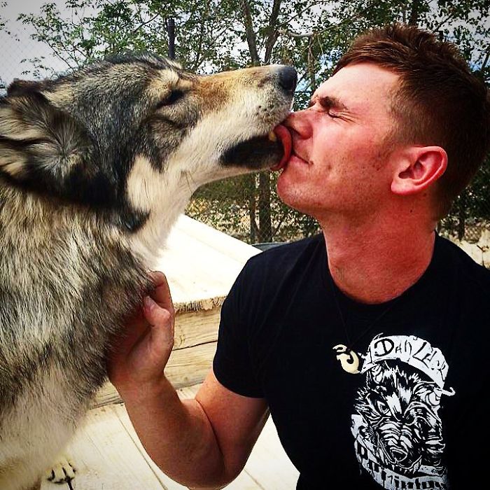 I Discovered My Inner Wolf At Wolf Mountain, California