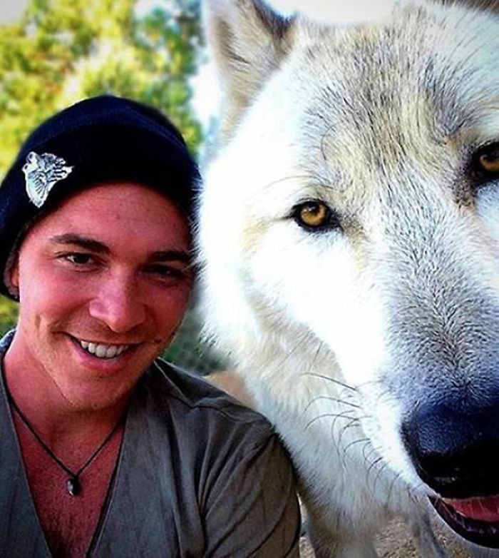 I Discovered My Inner Wolf At Wolf Mountain, California