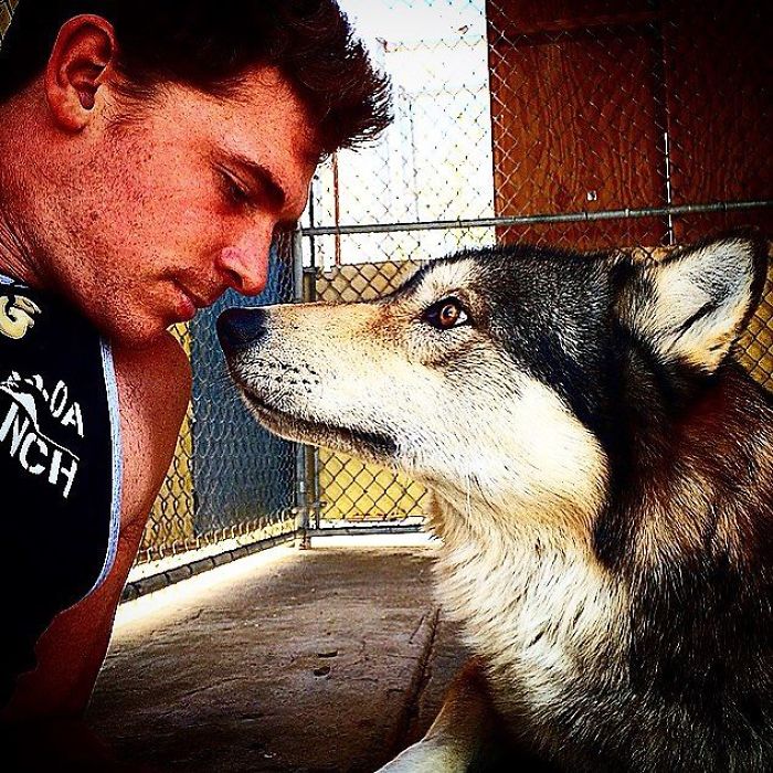 I Discovered My Inner Wolf At Wolf Mountain, California