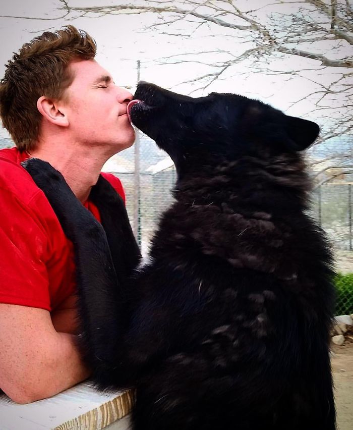 I Discovered My Inner Wolf At Wolf Mountain, California