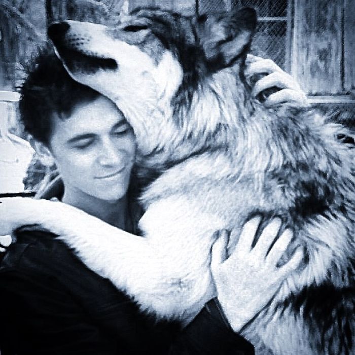 I Discovered My Inner Wolf At Wolf Mountain, California