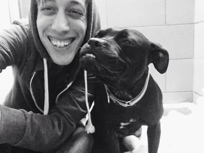 Post The Happiest Dogs Who Show The Best Smiles (346 Pics)