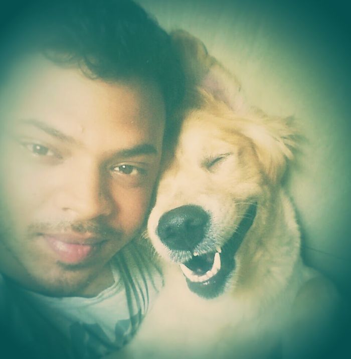 Post The Happiest Dogs Who Show The Best Smiles (346 Pics)