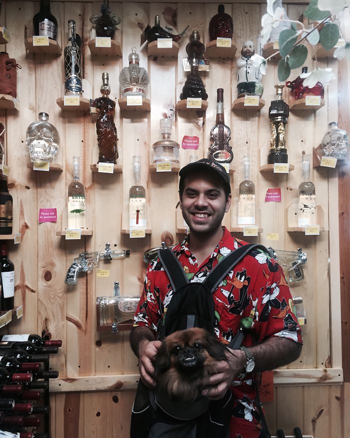 Post The Happiest Dogs Who Show The Best Smiles (346 Pics)