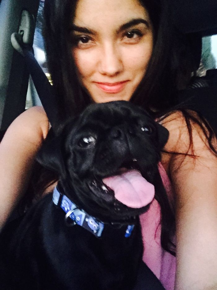 Post The Happiest Dogs Who Show The Best Smiles (346 Pics)