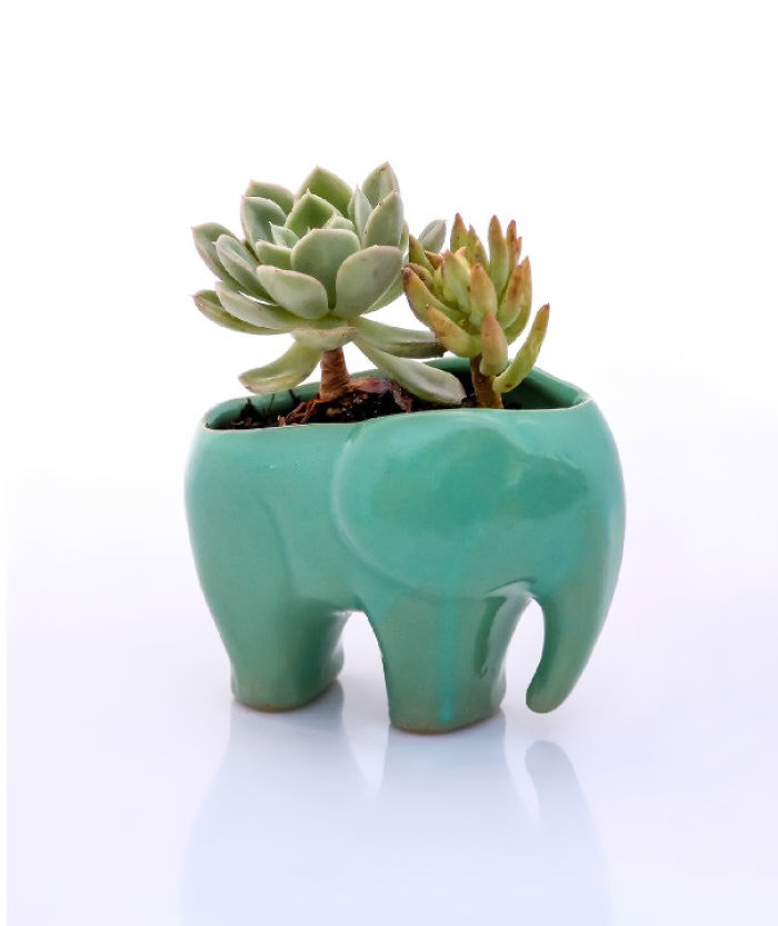 106 Things Every Elephant Lover Needs In Their Life
